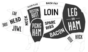 Medium Variety Pack