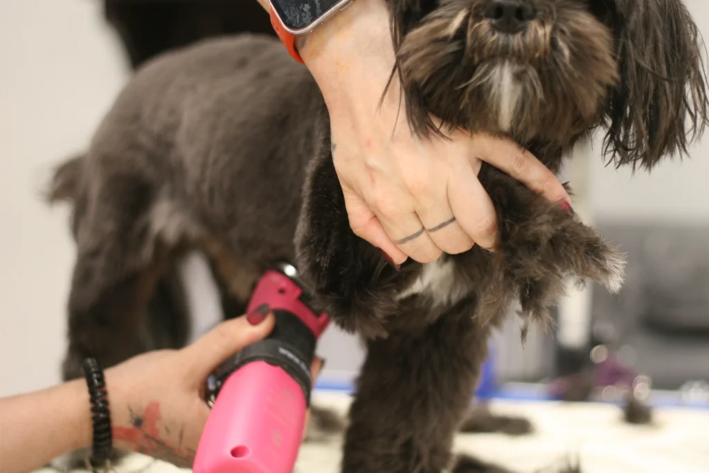Dog Grooming Clippers